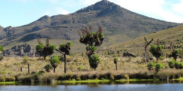 Mount Elgon