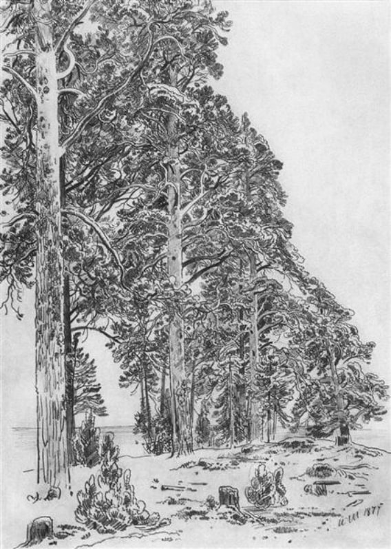 Ivan Shishken’s “Pines on the Beach“