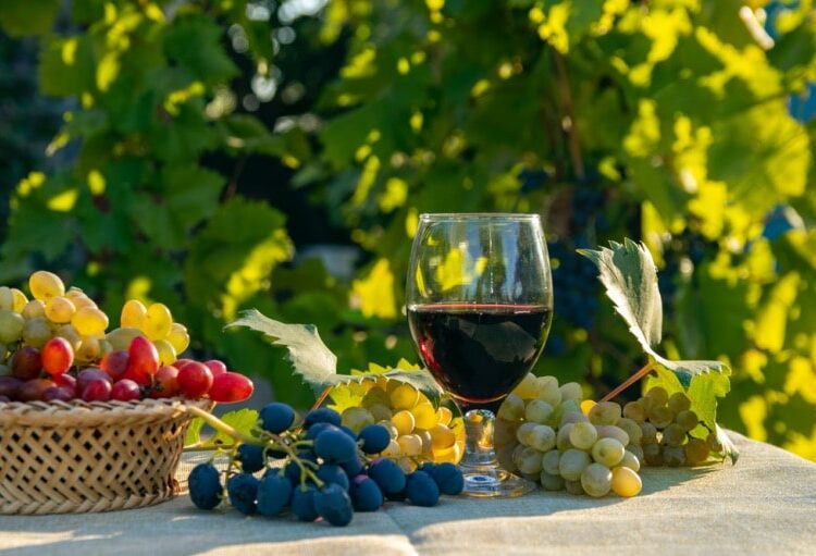 the 6 best ways to spend your money in the sun city this fall