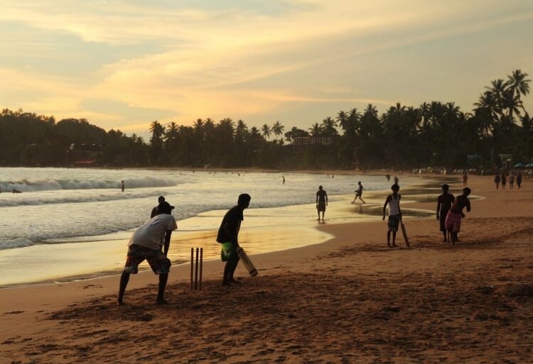 Cricket and Education