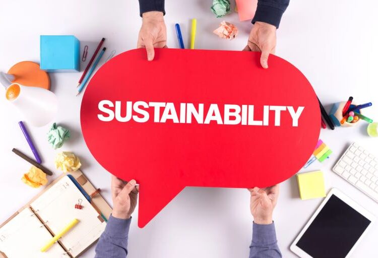 what are the pillars of corporate sustainability