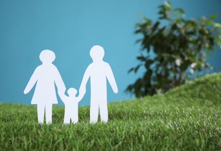 impact of no fault divorce on children and families