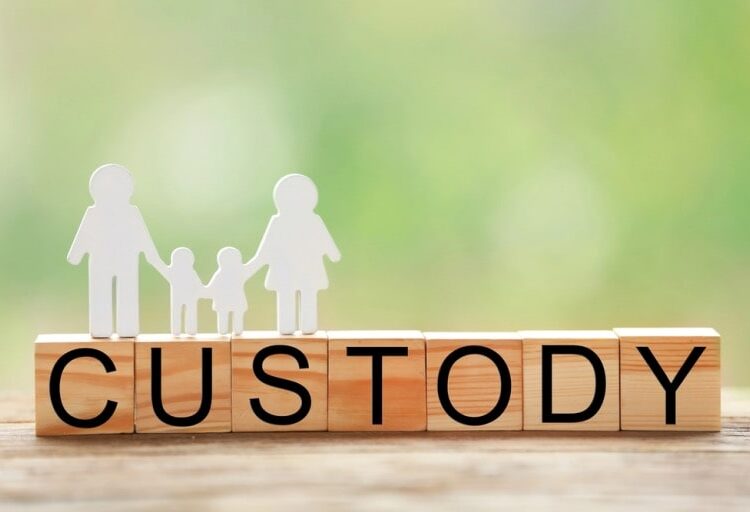navigating the path to sole custody