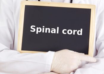 emerging perspectives on spinal cord injuries