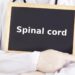 emerging perspectives on spinal cord injuries